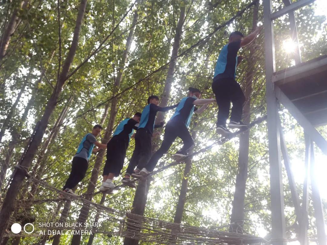 1628756417510645.jpg 9.jpg